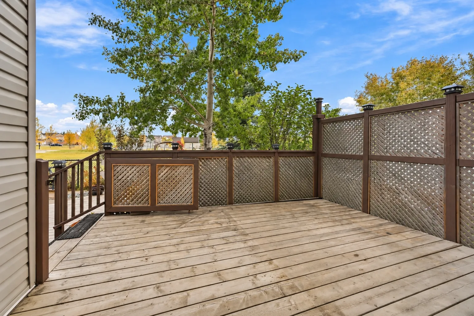 Rear deck overlooking the yard